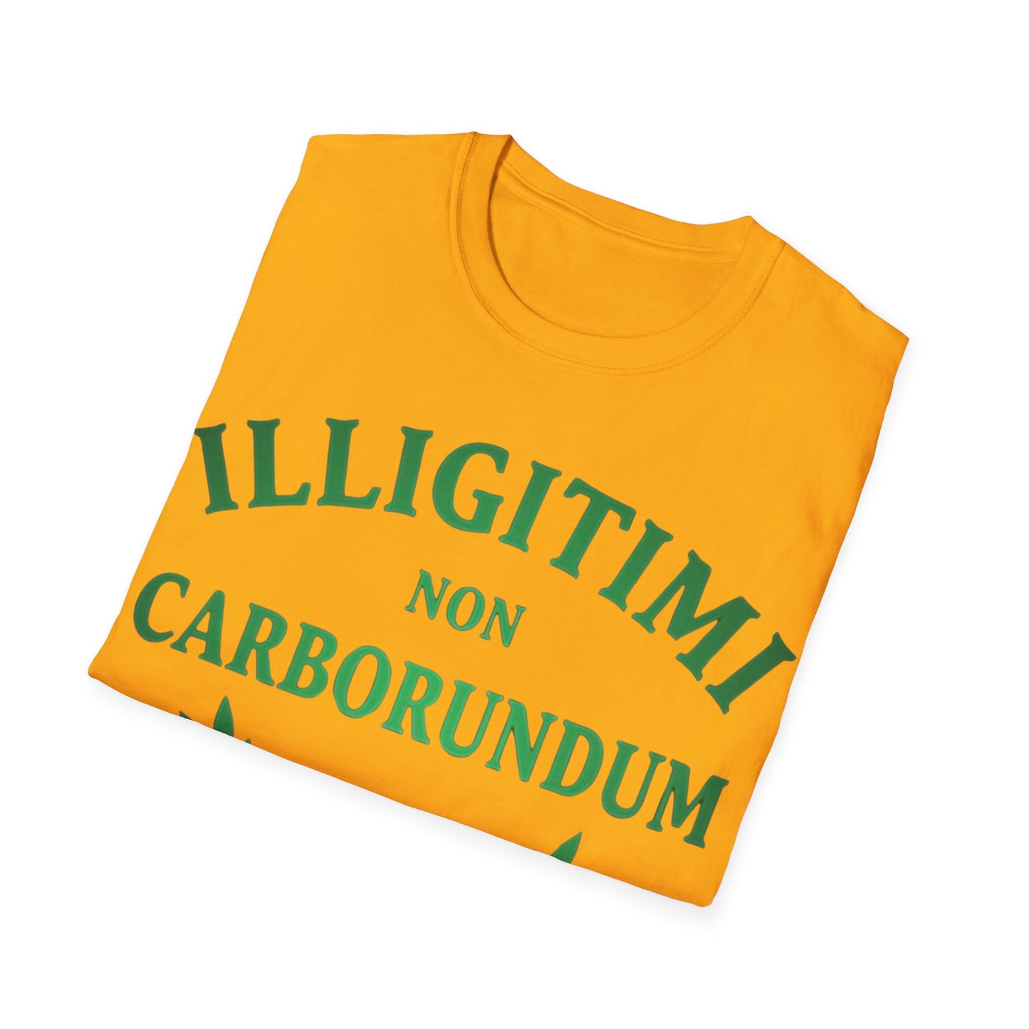 Unstoppable Spirit T-shirt