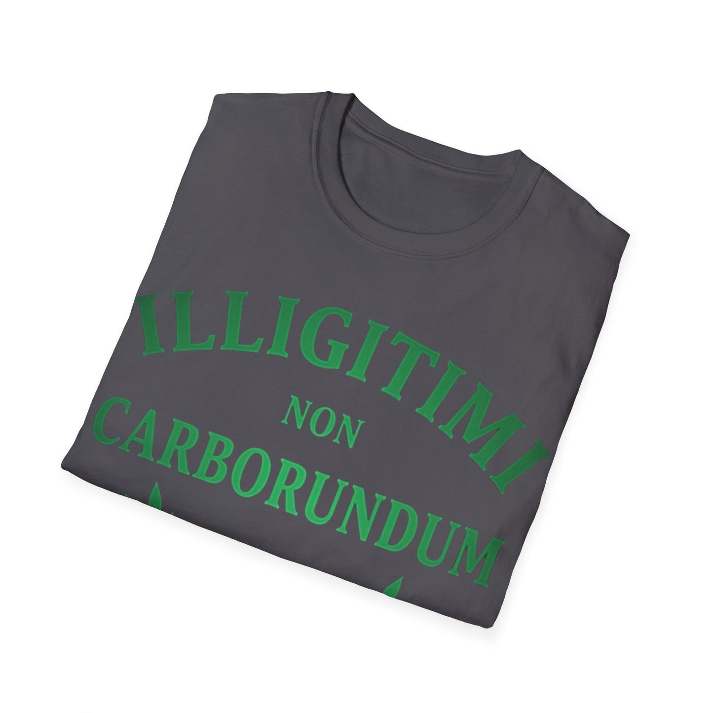 Unstoppable Spirit T-shirt